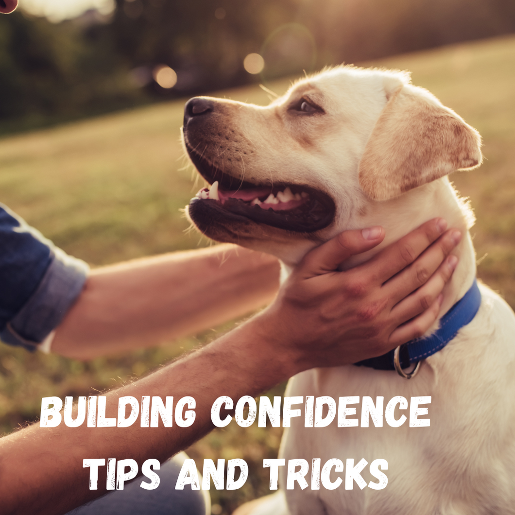 Building confidence tips and tricks FREEBIE